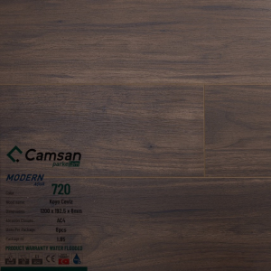 CAMSAN 8MM HIỆN ĐẠI - 720