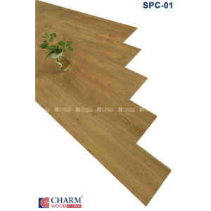 CHARM 6MM SPC 01
