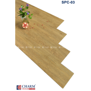 CHARM 6MM SPC 03
