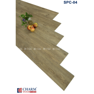 CHARM 6MM SPC 04