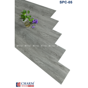 CHARM 6MM SPC 05