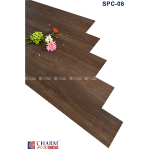 CHARM 6MM SPC 06