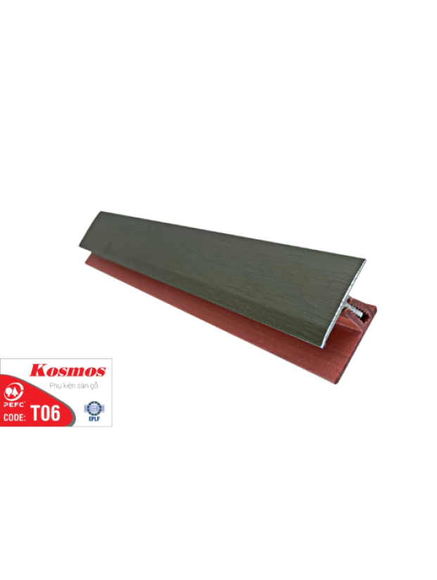 NẸP NHÔM T06